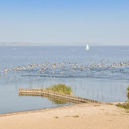 Gorgeous In With Wifi *