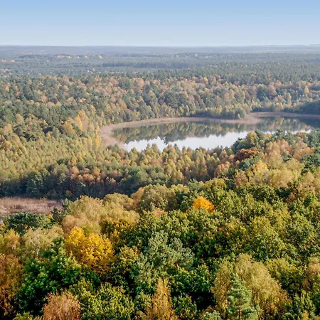 Gorgeous In With Wifi